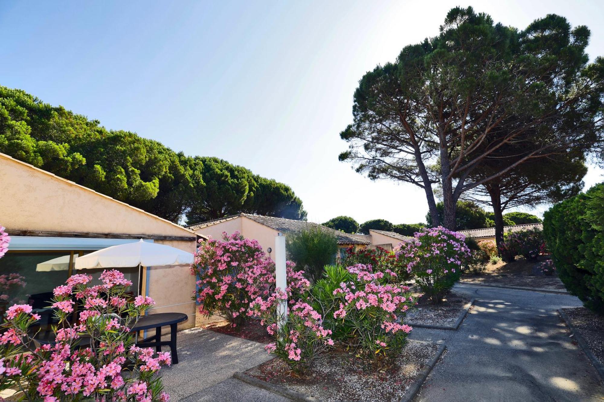 Village Vacances De Ramatuelle - Le Sentier Des Pins Exteriér fotografie